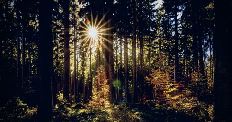 ブログ運営3か月目の運営報告